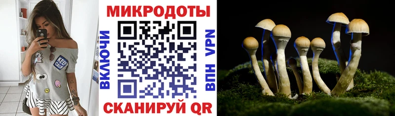 Галлюциногенные грибы Psilocybe  Купить  Бабаево 